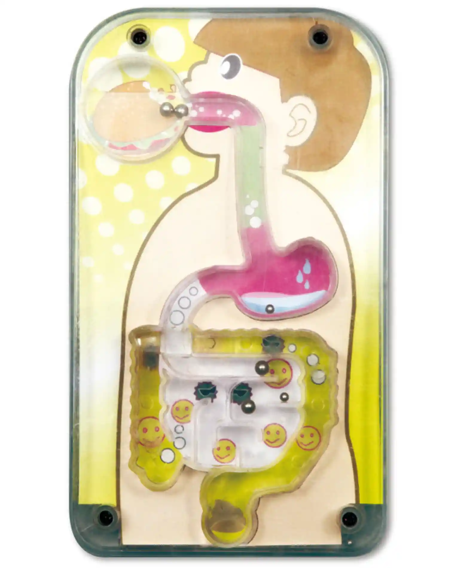 מבוך מערכת העיכול