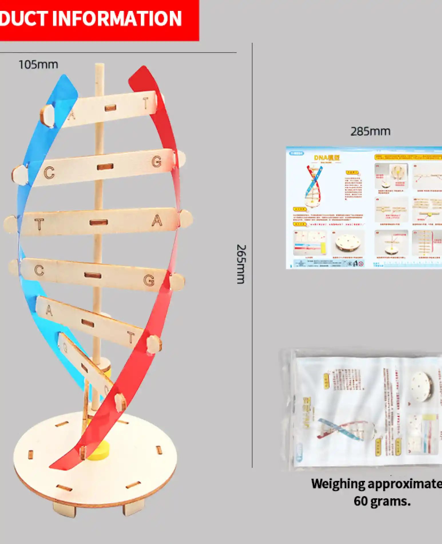דגם דנא מעץ DNA