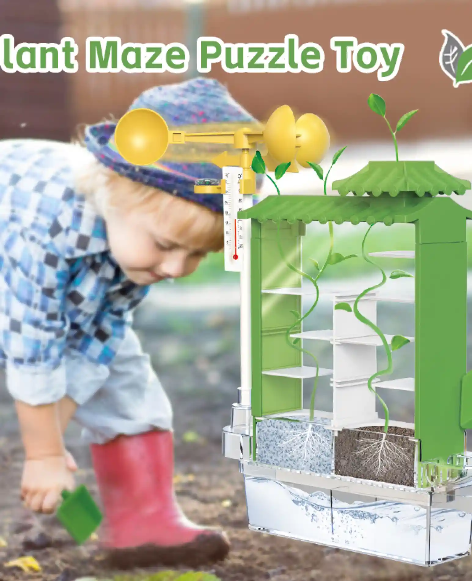 מבוך צמחים